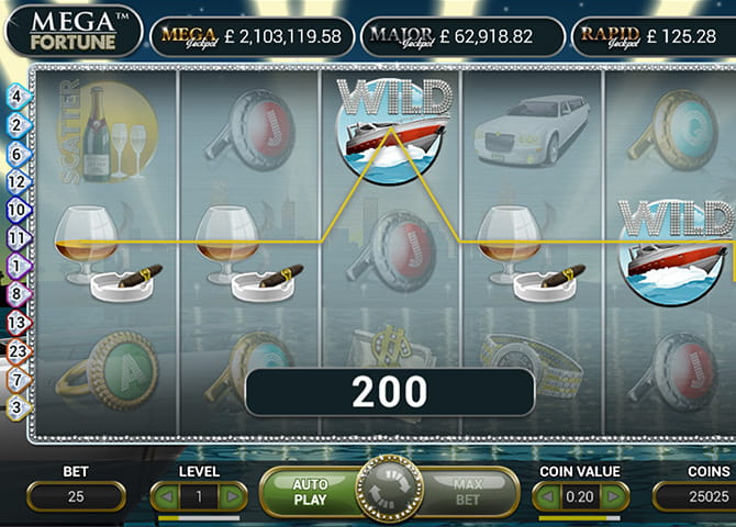 Mega Fortune Slot Jackpot Review •